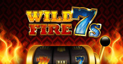Blue Fox wild fire 7